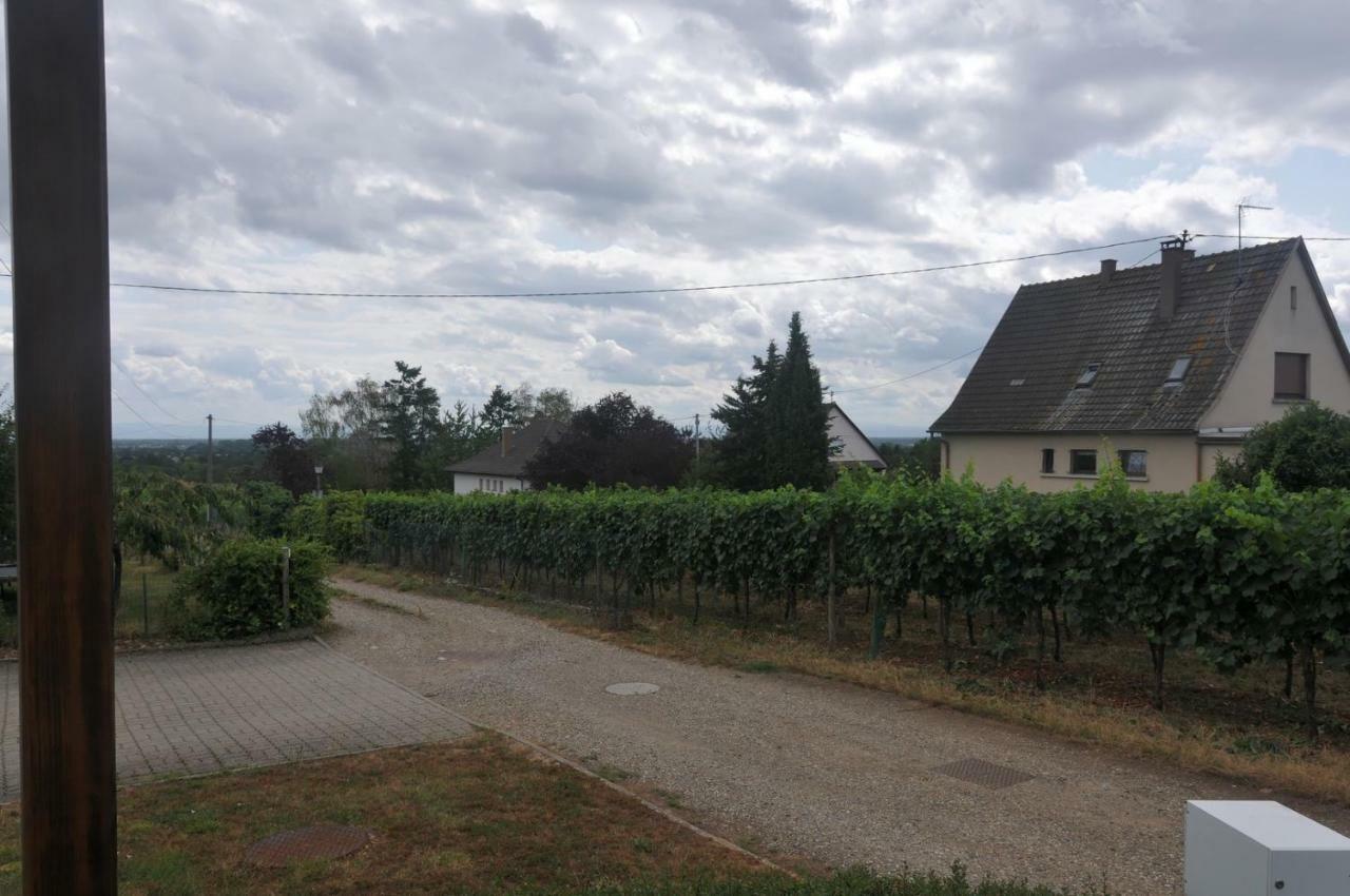 Les Cerisiers Villa Bernardswiller Exterior foto